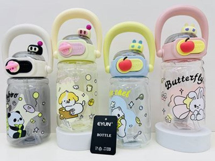 Water Bottle 650mL 0123