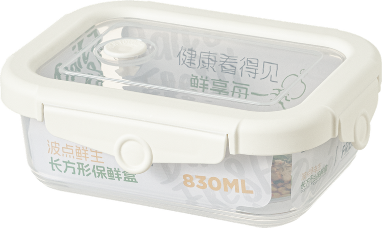 Food Storage Container 1666