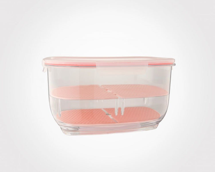 Big Fruit Container 182835