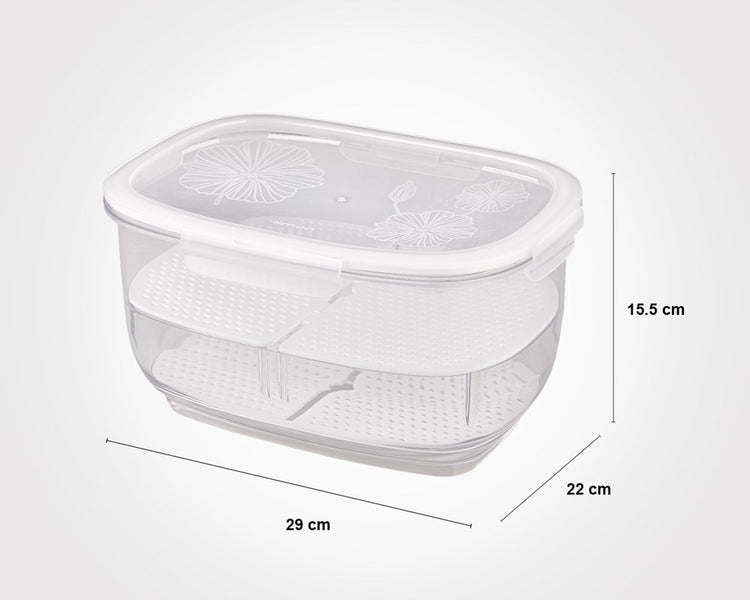 Big Fruit Container 182835