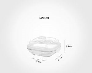 Glass Container 520mL 202635