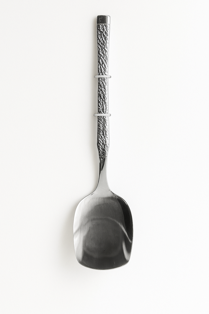 Stainless Steel Serving Spoon 2321 802-14