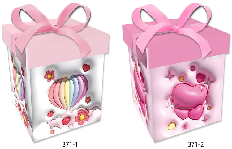 Gift Box Extra Large 371XL
