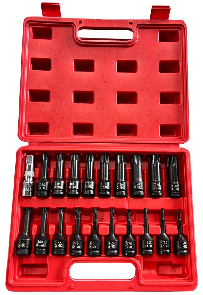 Torx Socket DR 20pc 1/2" A-10