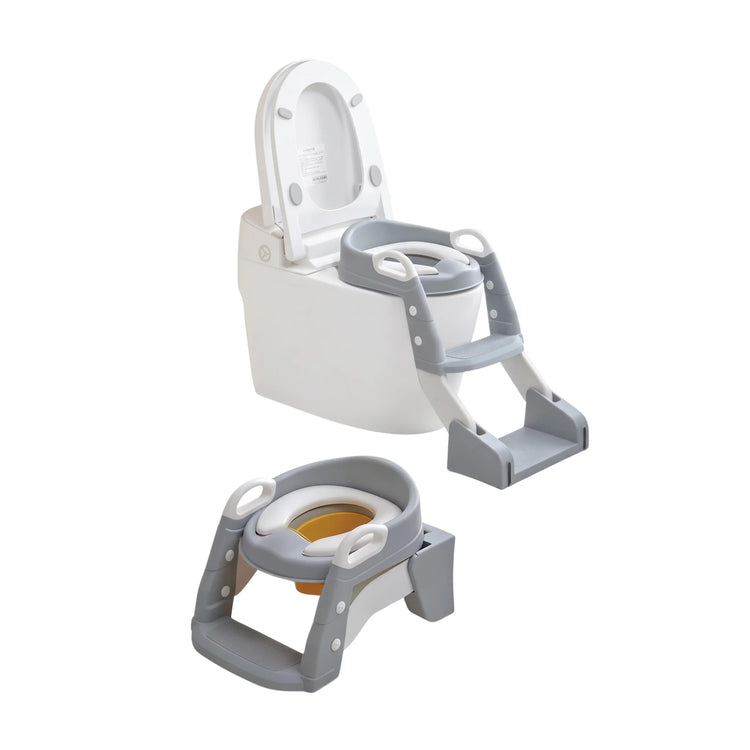 3 in 1 Kids Potty Training Toilet Seat with Step Ladder