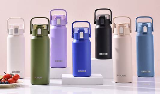 Insulated Water Bottle 550mL DB-24520-700-T-P