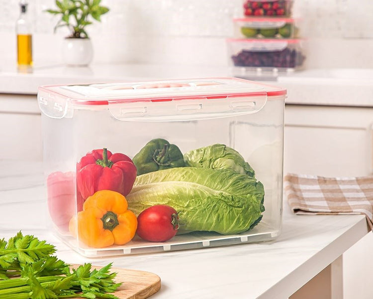 Large Container With Handle 14L 82835