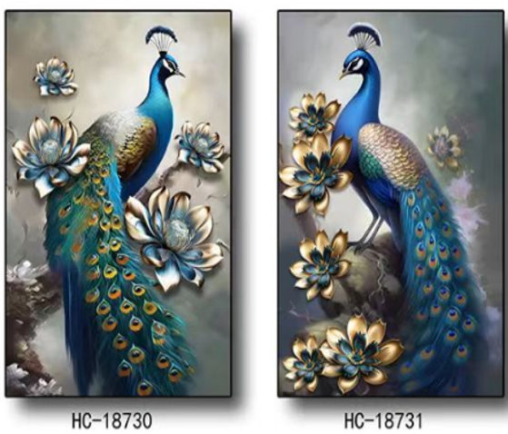 Framed Canvas Pictures