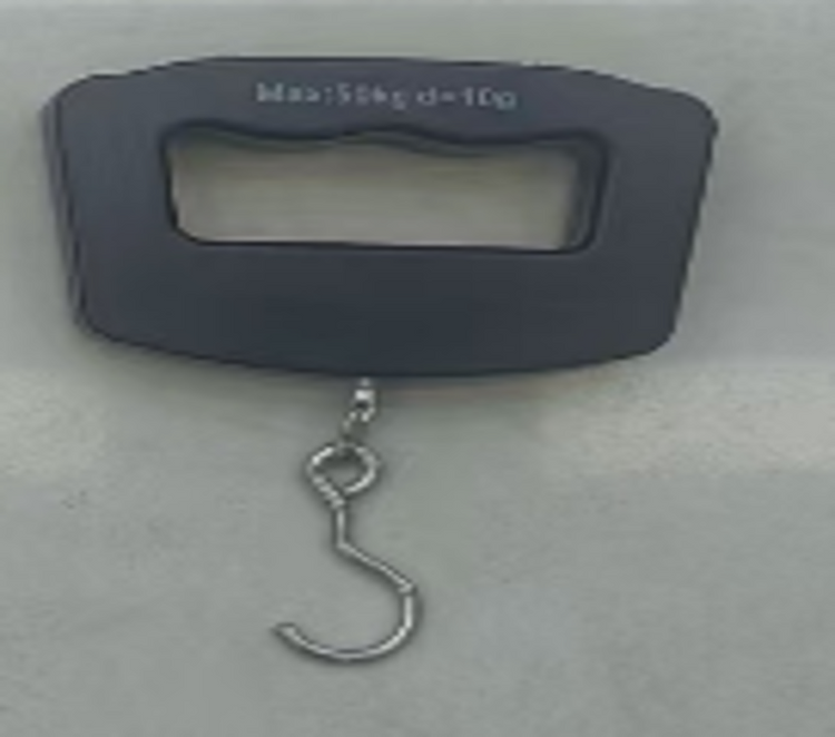 Digital Luggage Scale