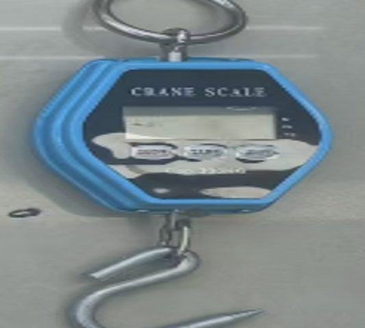 Crane Scale