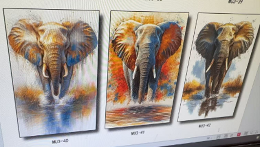 Animal Wall Frame MU3 DD20095