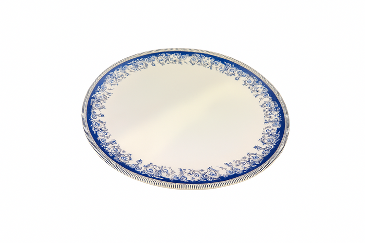 Dinner Plate Melamine 234