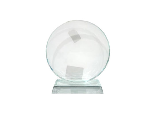 Trophy Award Plaque 3195-11