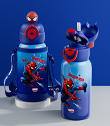 Insulated Water Bottle 500mL FD-ZH16477