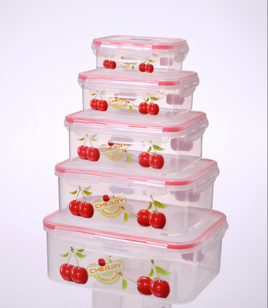 Food Container 5pc 2695-5 DD1134