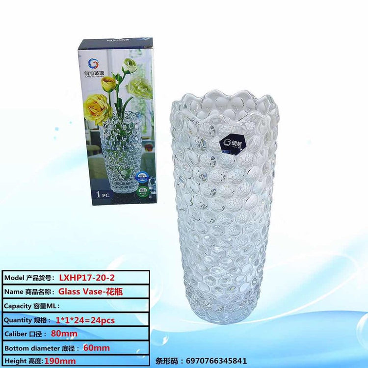Glass Vase LXHP17-20-2