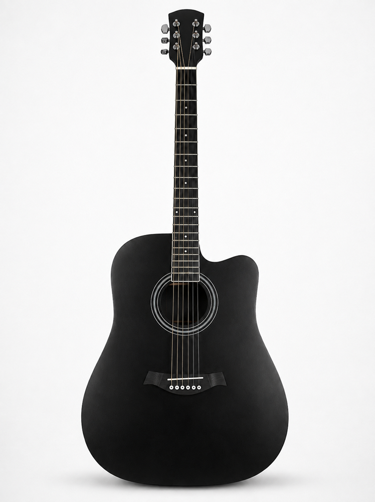 Electric Acoustic Guitar 41" RY-41