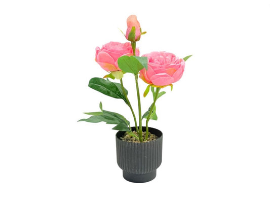 Flower Decor ZL-22399