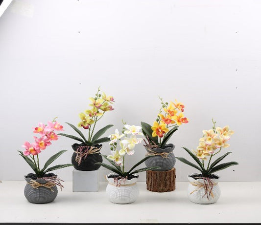 Flower Decor ZL-24006