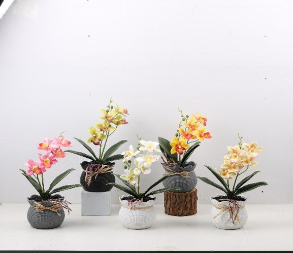 Flower Decor ZL-24006