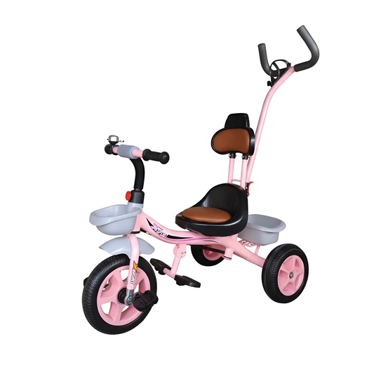 2 in 1 Tricycle for Kids | Stroller Trike with Push Handle | LTXGG-0082