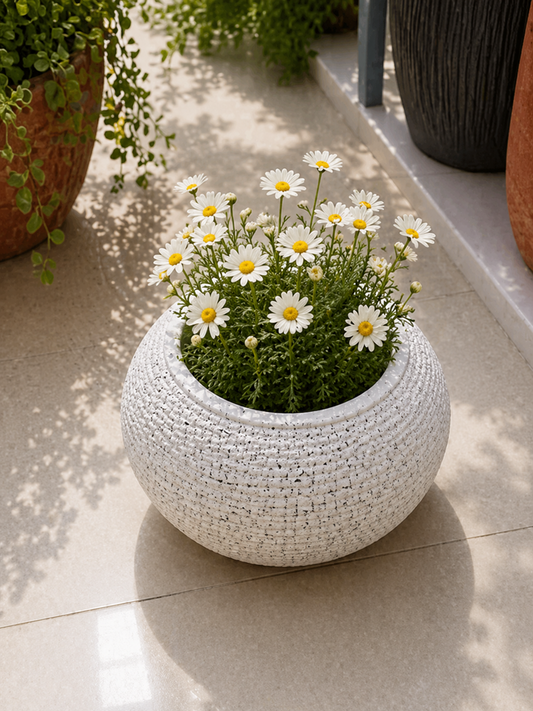 Flowerpot Vase 2222WD