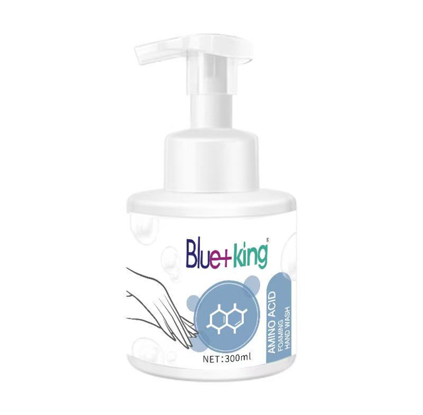 Hand Wash Foaming Liquid 300ml 30632