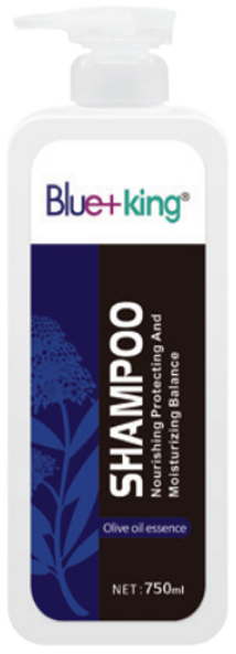 Shampoo 750ml 30871