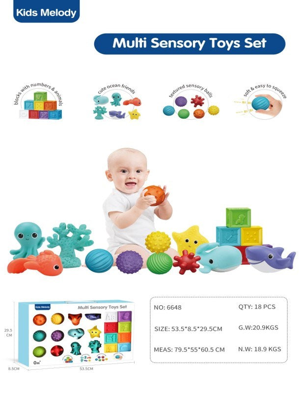 Multi Sensory Toys 6648
