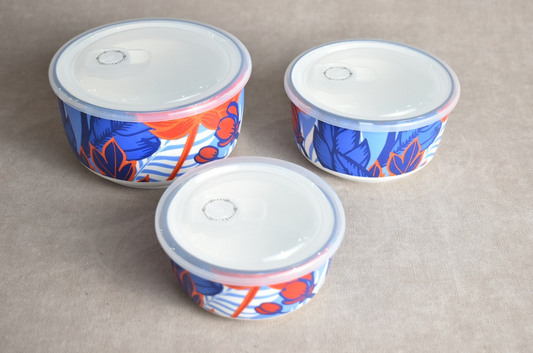Food Container 3pc ASC006-3T