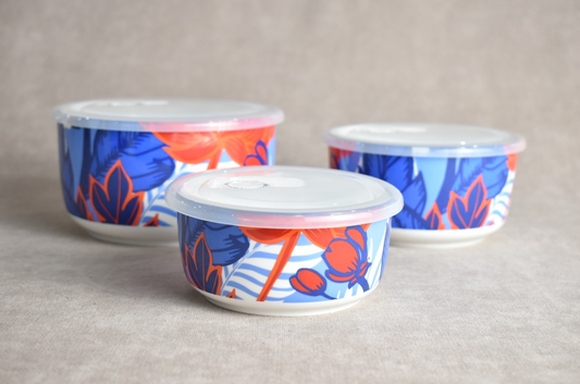 Food Container 3pc ASC006-3T