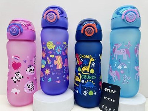 Water Bottle DD20012