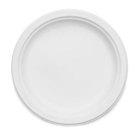 10" Paper Plate 50pc P005N