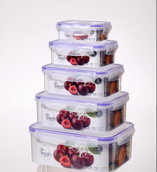 Food Container 5pc 2610-5 DD1133