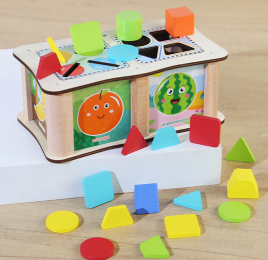 Shape & Color Sorting & Matching Box