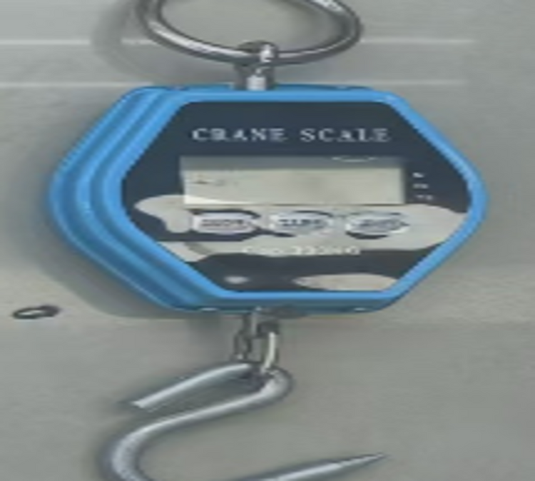 Crane Scale