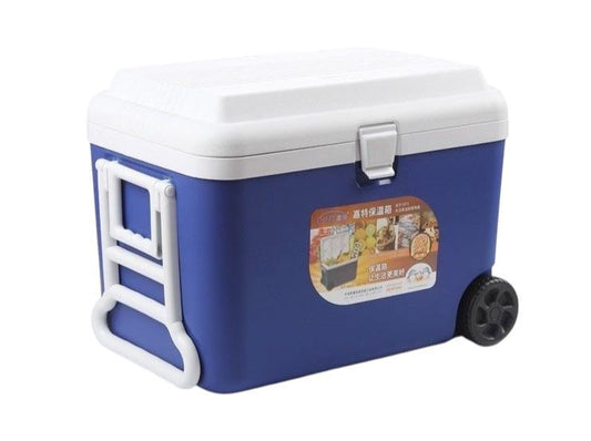 Cooler bin 60L AS6000