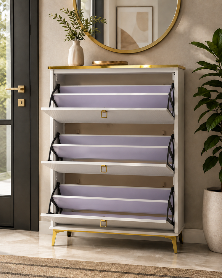 Shoe Rack Cabinet Gold X800-1