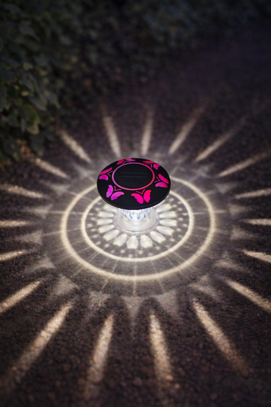 Decorative LED Light YY33