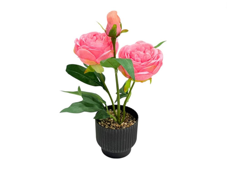 Flower Decor ZL-22399