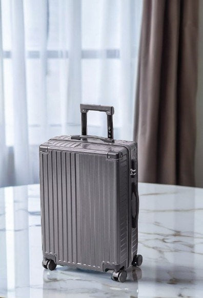 Suitcase 28'' Gray PX2090